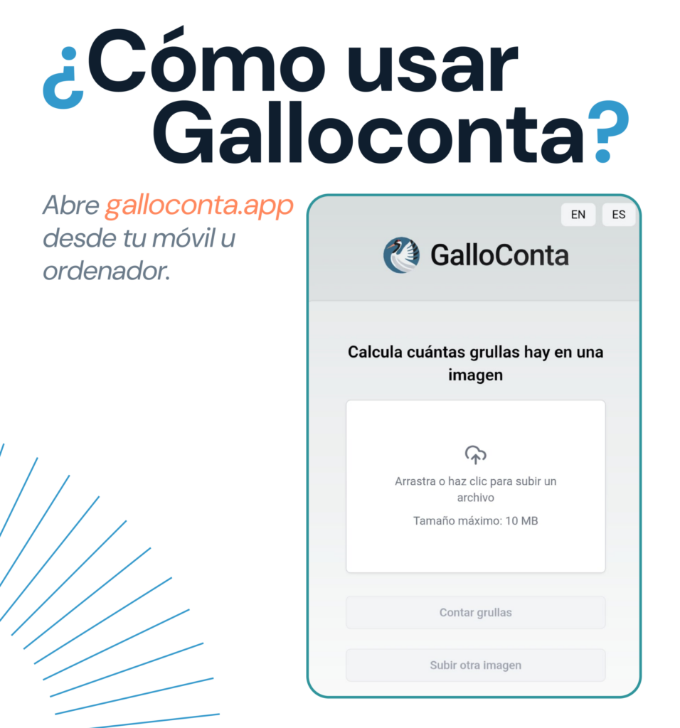 como usar galloconta