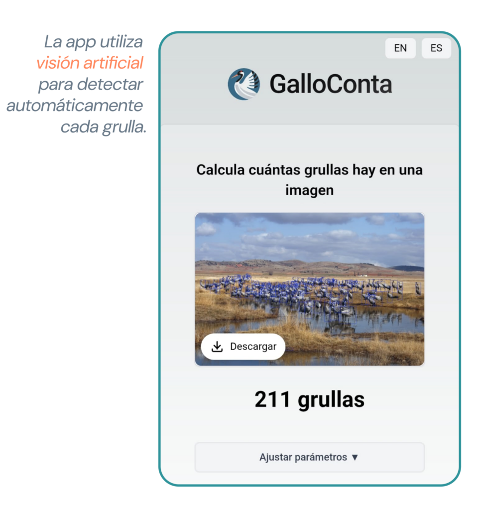 como usar galloconta